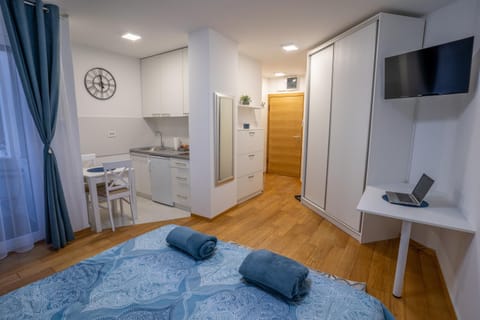 Bed, TV and multimedia, Kitchen or kitchenette, Photo of the whole room, Bedroom, wardrobe