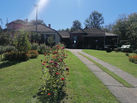 Spring, Garden view