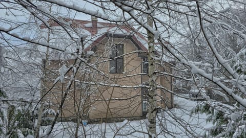 Best View Kolasin Villa in Montenegro