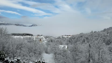 Best View Kolasin Villa in Montenegro
