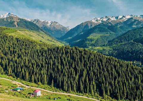 Mountain view