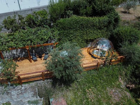 Day, Natural landscape, Garden, Garden view