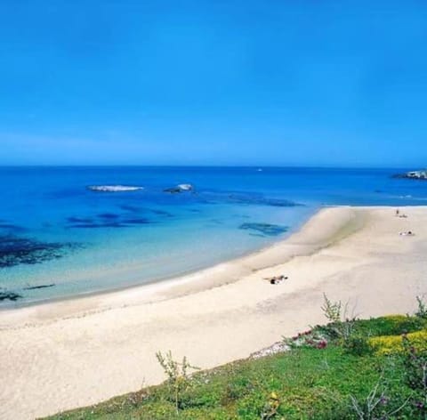 Casa Mediterraneo Lu Bagnu Castelsardo Apartment in Sardinia