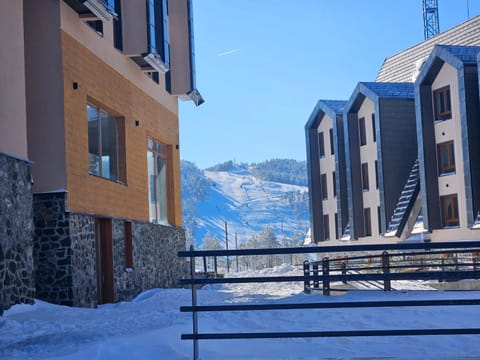 Divcinova Planinski A9 Apartment in Zlatibor District, Serbia