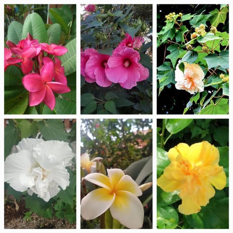 Villa Cambria House in Sala Dan