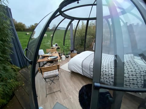 Home Sweet Dôme in Bouillon Luxury tent in Wallonia, Belgium
