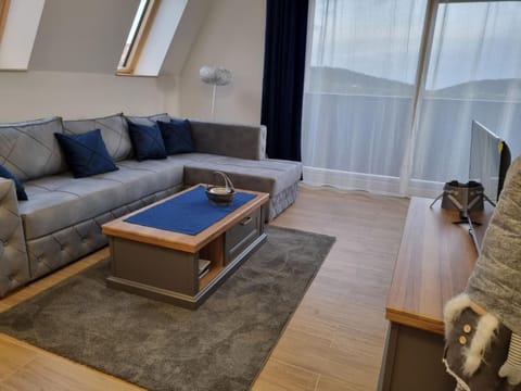 Apartman Suzi Apartment in Zlatibor District, Serbia