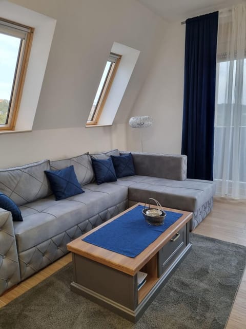 Apartman Suzi Apartment in Zlatibor District, Serbia