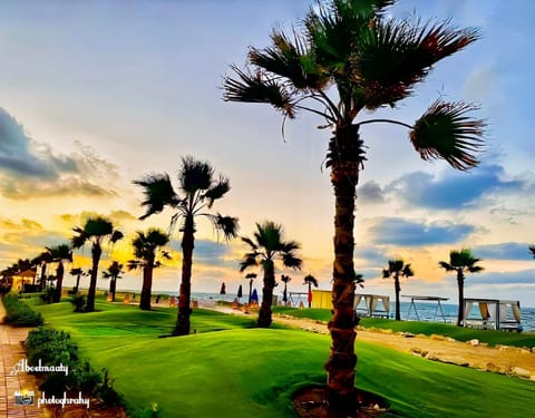 Natural landscape, Garden