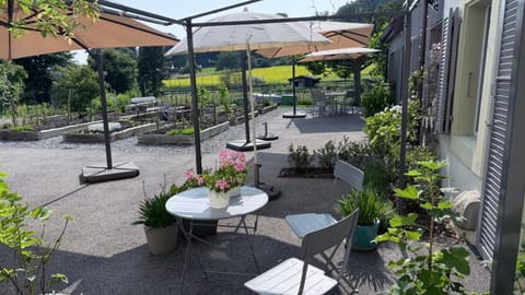 Patio, Garden, Garden view