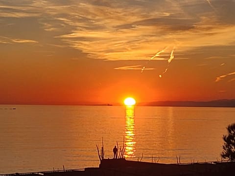 La Casa di Ari vicinissimo ospedale GASLINI GENOVA Apartment in Genoa