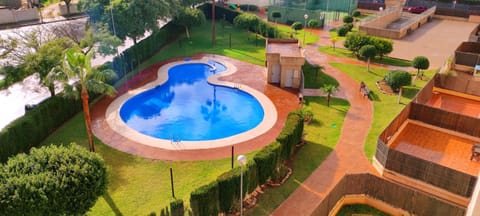 Garden, Garden view, Pool view, Swimming pool
