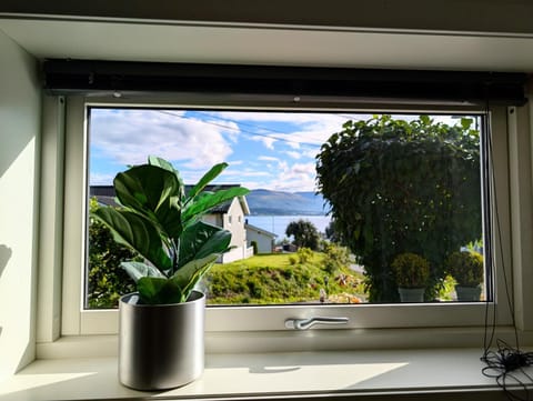 Aurora rooms in shared apartment nr1 We are doing privet northen light trip, reindeer trip and sommaroy Fjord trip Bed and Breakfast in Tromso