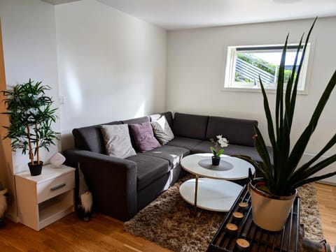 Aurora rooms in shared apartment nr2 We are doing privet Northen lights trips, reindeer trip and Fjord sommaroy trip Bed and Breakfast in Tromso