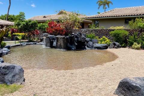 Natural landscape, Garden, Garden view, Pool view, Swimming pool
