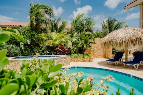 Garden, Swimming pool, furniture, sunbed