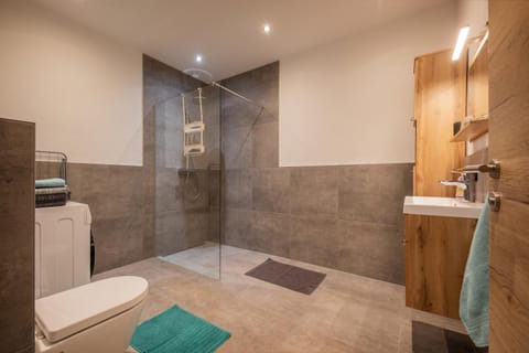 Shower, Toilet, Bathroom, towels