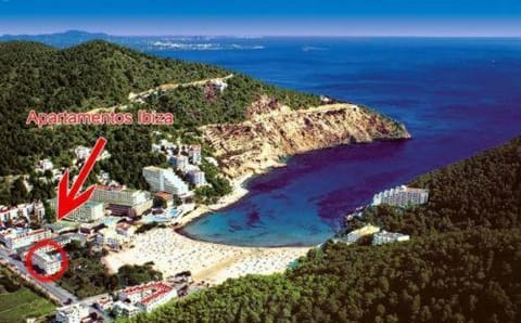 Bird's eye view, Beach, Area and facilities