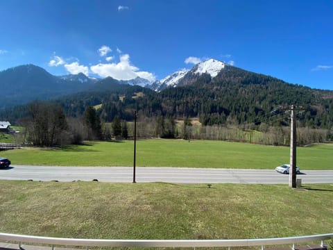 Appartement cosy avec balcon et parking, proche piste - FR-1-692-36 Apartment in Châtel