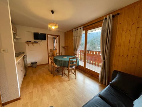 Charmant appartement 2 pièces proche ski, animaux admis, parking - FR-1-692-35 Apartment in Châtel