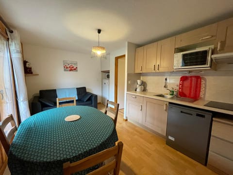 Charmant appartement 2 pièces proche ski, animaux admis, parking - FR-1-692-35 Apartment in Châtel