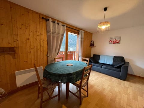 Charmant appartement 2 pièces proche ski, animaux admis, parking - FR-1-692-35 Apartment in Châtel