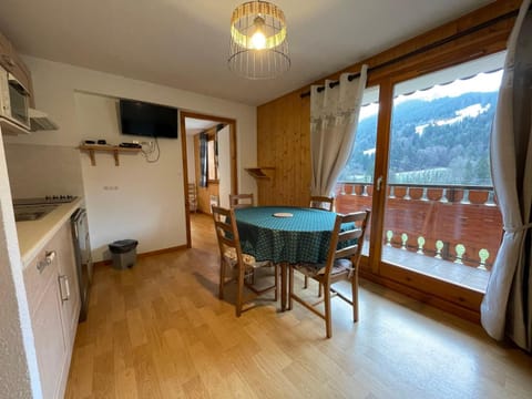 Charmant appartement 2 pièces proche ski, animaux admis, parking - FR-1-692-35 Apartment in Châtel