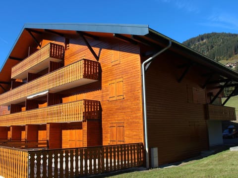 Charmant studio avec terrasse sud, animaux admis, parking - FR-1-692-72 Apartment in Châtel