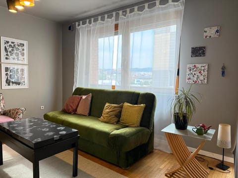 Artist's Apartment in Prishtina Apartment in Serbia