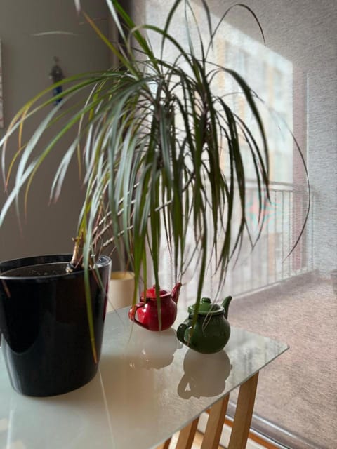 Artist's Apartment in Prishtina Apartment in Serbia