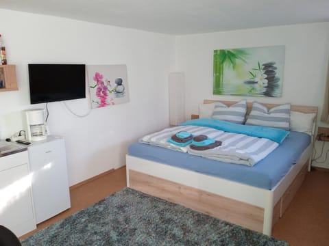 Bed, TV and multimedia, Photo of the whole room