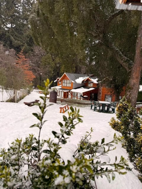 Property building, Winter, Garden