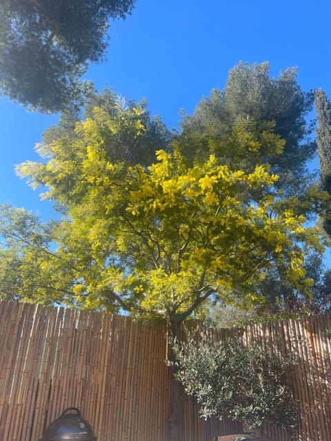 Chalet nature proche plage Chalet in Cassis