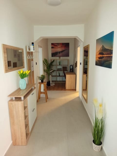 Apartment Dora Apartment in Zadar