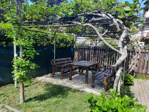 Patio, Balcony/Terrace, Dining area