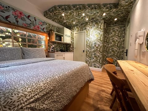 Bed, Kitchen or kitchenette, Photo of the whole room, Seating area, Dining area, Bedroom