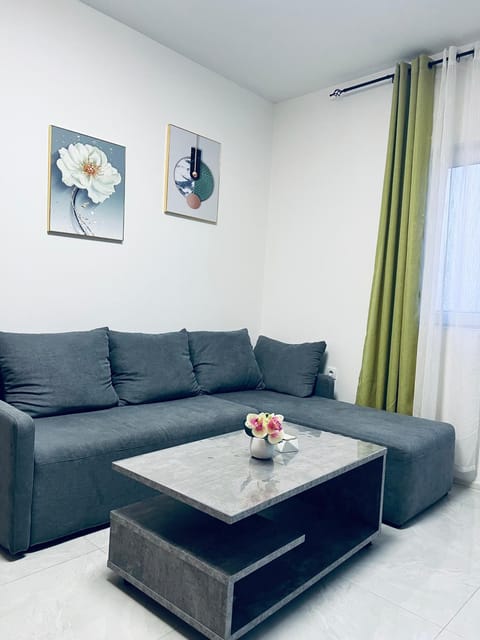 馨之家-华人公寓民宿 二室一厅 Apartment in Belgrade