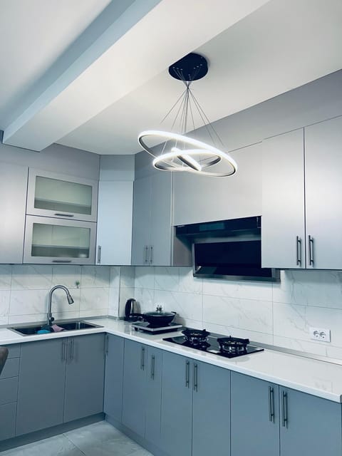 馨之家-华人公寓民宿 二室一厅 Apartment in Belgrade