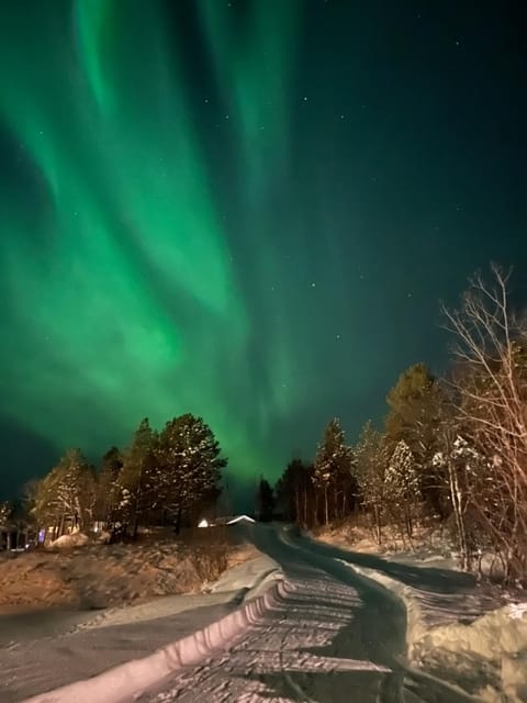Macktunet - Retro log cabin from the 70s in Malangen Cabin in Troms Og Finnmark