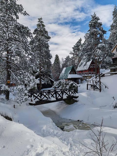 Borovi snovi Divčibare Apartment in Zlatibor District, Serbia