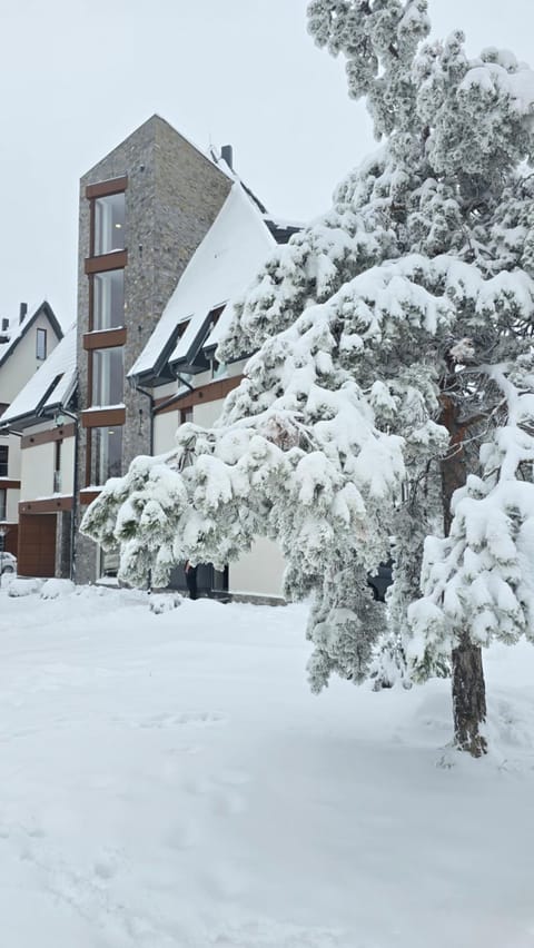 Borovi snovi Divčibare Apartment in Zlatibor District, Serbia