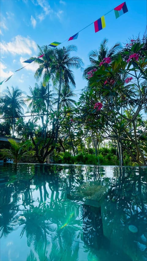 Garden, Pool view, Swimming pool