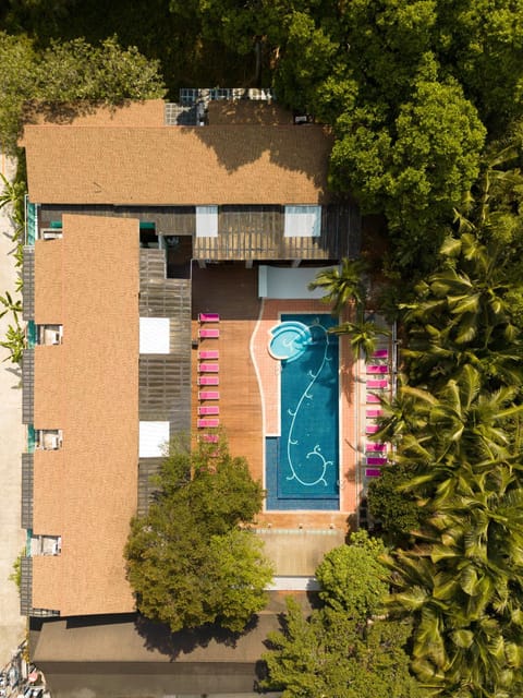 Property building, Day, Bird's eye view, On site, Pool view, Swimming pool, Swimming pool, Time of day, Location