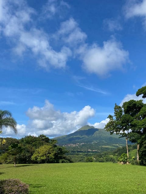Garden view, Landmark view, Mountain view