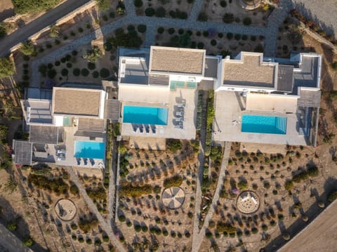 Villa Olea & Ramus Paros Villa in Paros, Greece