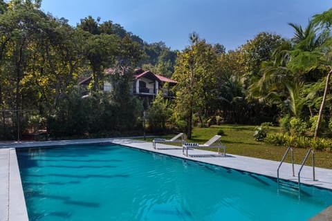 Day, Natural landscape, Garden, Garden view, Pool view, Swimming pool, sunbed