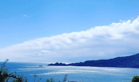 VILLA BARBARA Apartment in Liguria