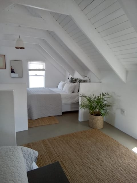 Spacious loft Apartment in Western Cape