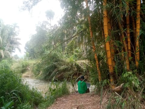 Natural landscape, River view
