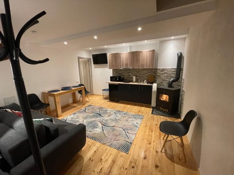 Kitchen or kitchenette, Living room, Photo of the whole room, Seating area, Dining area, flat iron, minibar, pet friendly, stove